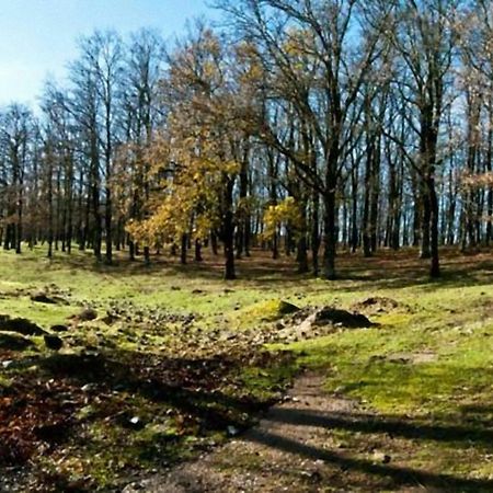 Casa Vacanze Camastra Santo Stefano di Camastra Zewnętrze zdjęcie